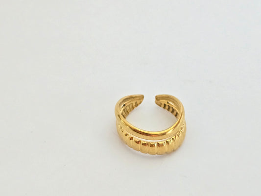 ANILLO ALMA