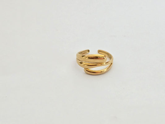 ANILLO DANTE