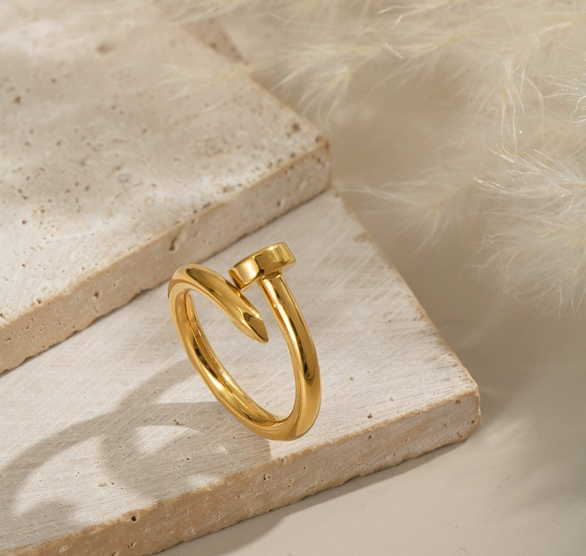 ANILLO CLAVO