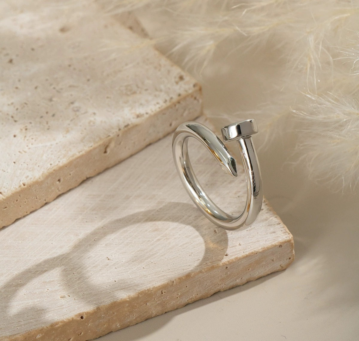 ANILLO CLAVO